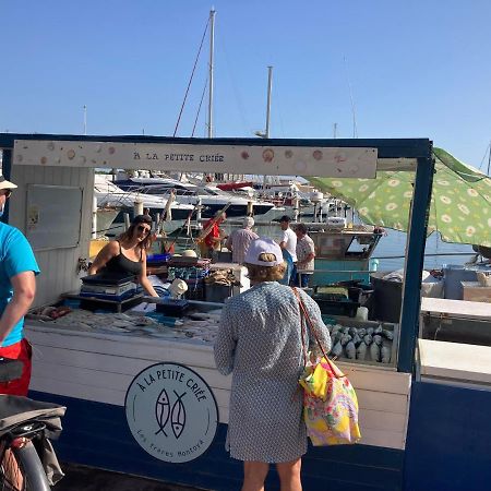 Vila Mas De La Riviere Villelongue-de-la-Salanque Exteriér fotografie