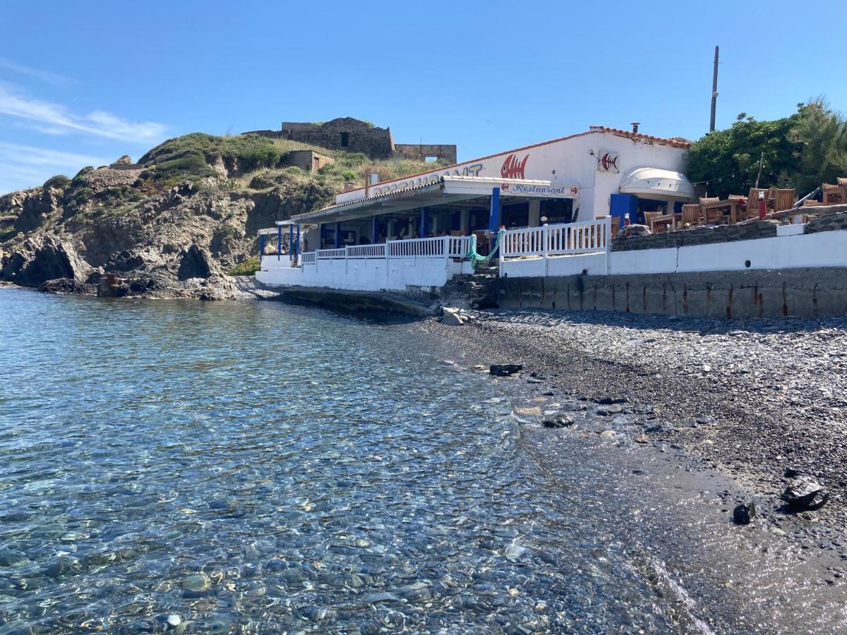 Vila Mas De La Riviere Villelongue-de-la-Salanque Exteriér fotografie