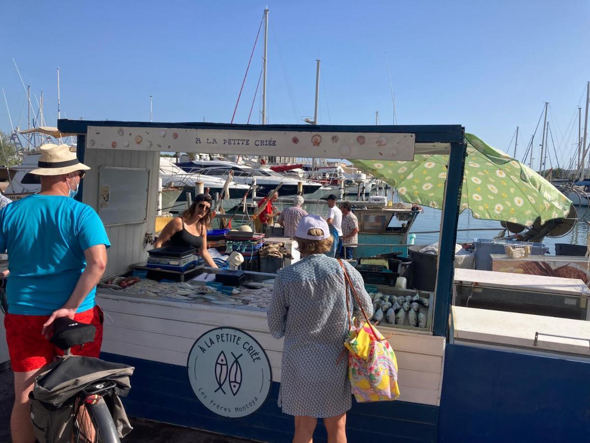 Vila Mas De La Riviere Villelongue-de-la-Salanque Exteriér fotografie