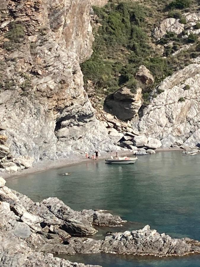 Vila Mas De La Riviere Villelongue-de-la-Salanque Exteriér fotografie